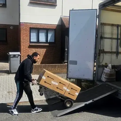 carrying the boxes